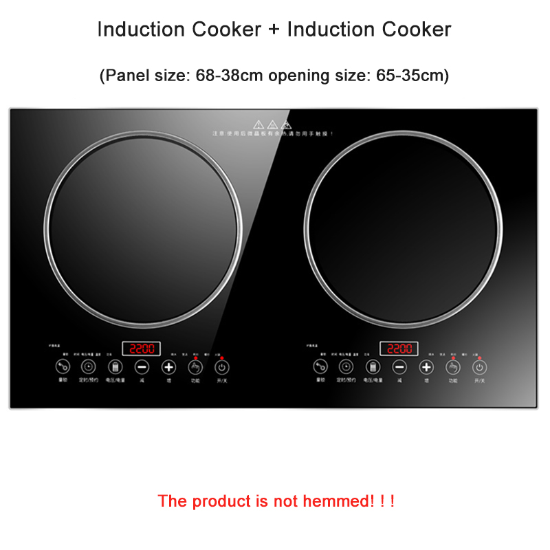 Fornello elettrico a induzione - Double Induction Cooktop 220V recensione e prezzo