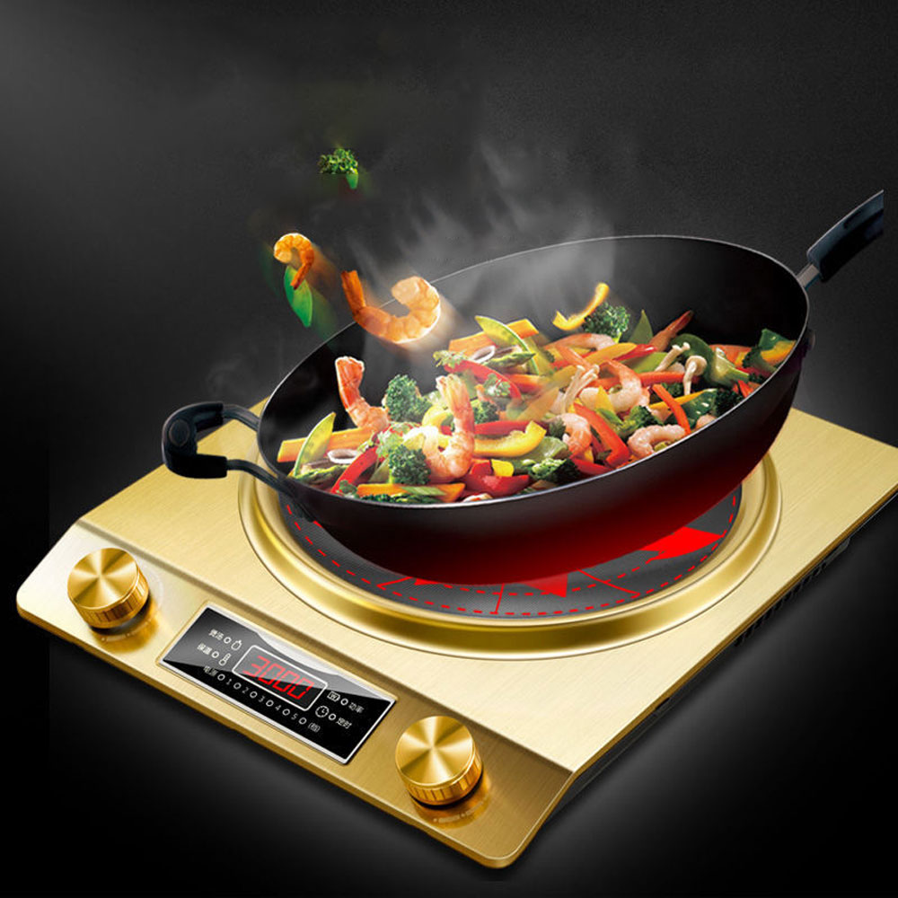 Fornello a induzione concavo p - Commercial Induction Cooktop 3500W recensione e prezzo