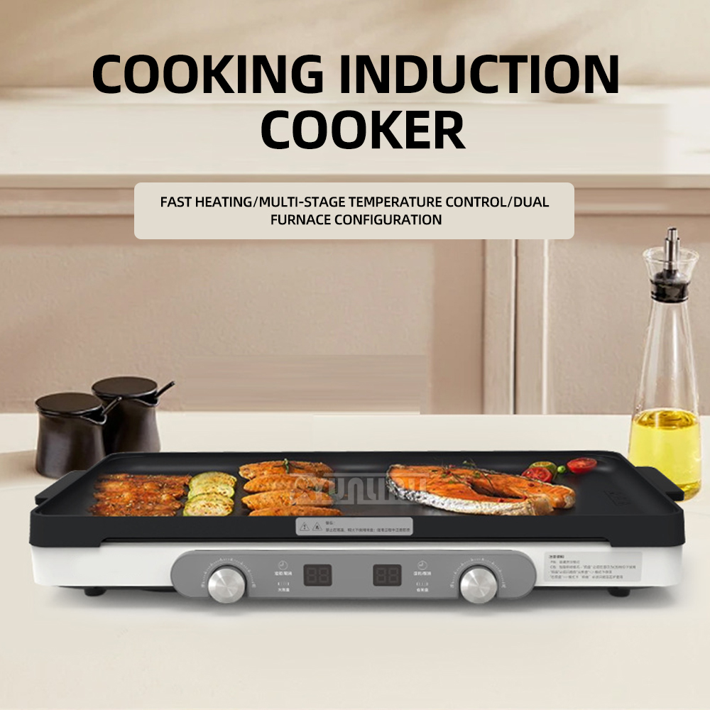 Piano cottura da cucina doppio - Double Induction Cooktop 220V recensione e prezzo