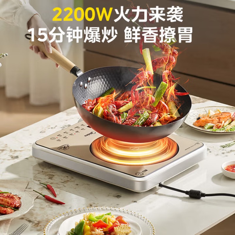 Piano cottura a induzione per  - Double Induction Cooktop 220V recensione e prezzo